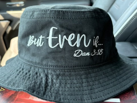 But Even If... bucket hat
